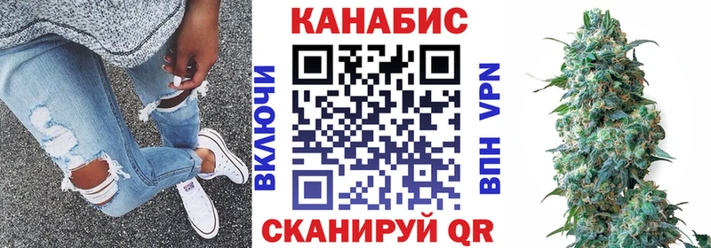 Шишки марихуана SATIVA & INDICA  где купить наркоту  Оленегорск 